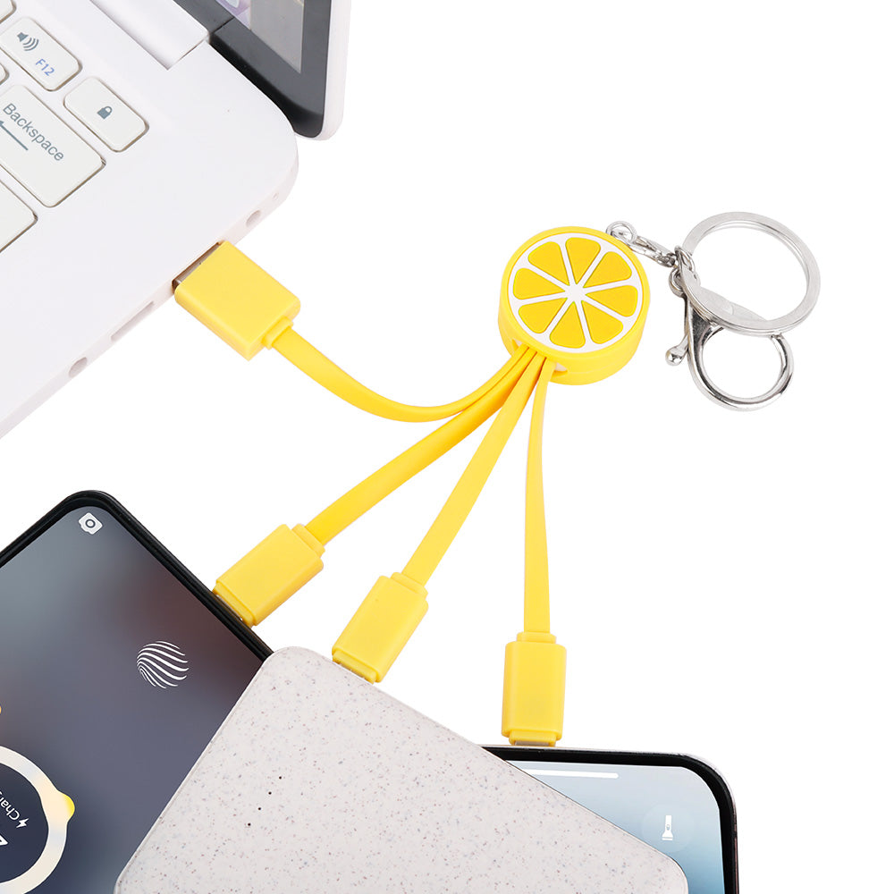 FEATURESTECH®3 in 1 Keychain Charging Cable