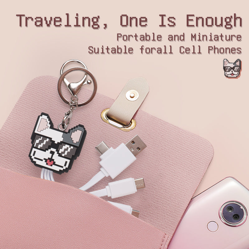 FEATURESTECH® 6 in 1 Keychain Charging Cable