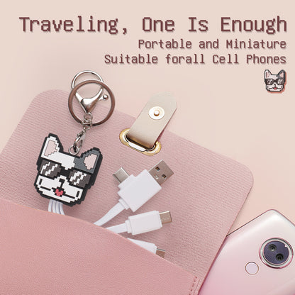 FEATURESTECH® 6 in 1 Keychain Charging Cable